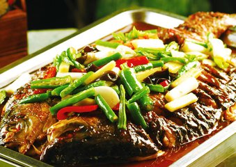 加盟一家烤魚店的條件是什么？