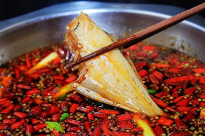 成都郫縣有沒有專業(yè)培訓耗兒魚培訓學校？