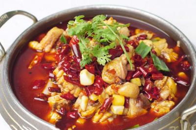  餐飲項目有什么，火鍋雞技術培訓哪里好？